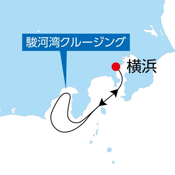 ぱしふぃっくびいなす クリスマスクルーズ Yokohama 2泊3日 22年12月9日 金 発 トラベルハーモニー