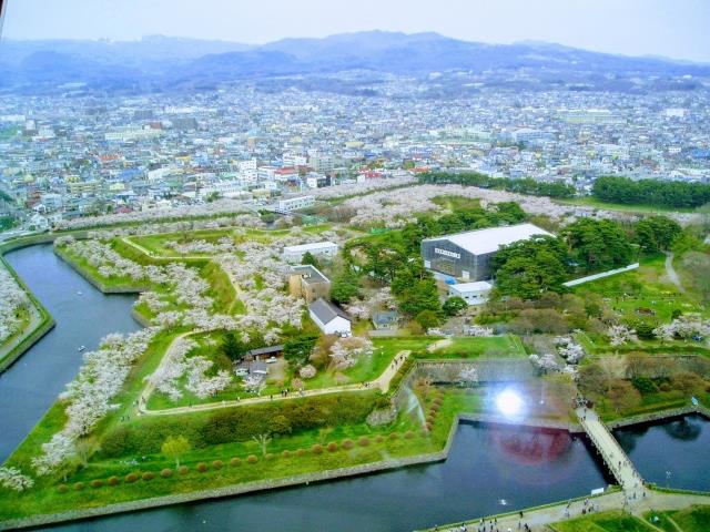 桜に囲まれた五稜郭を見下ろす風景(函館)