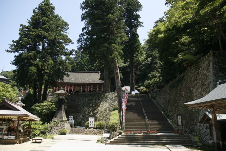杉木立に囲まれた瑞光山 清水寺の参道